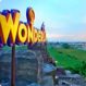 popular trips