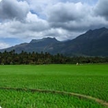 popular trips